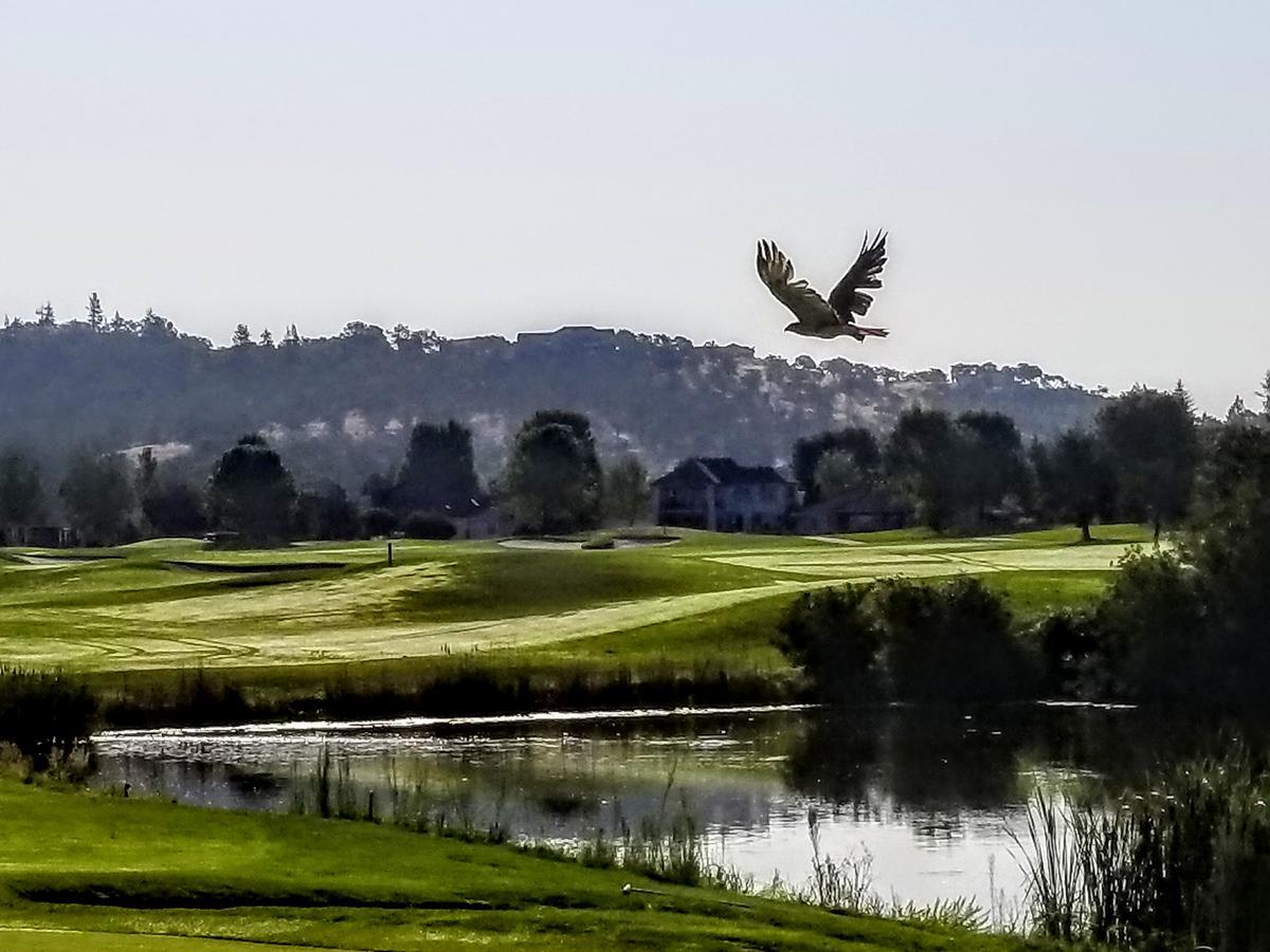 Resort At Eagle Point Golf Club Lodging Εξωτερικό φωτογραφία
