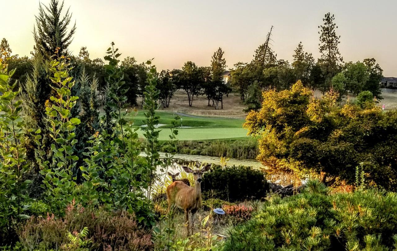 Resort At Eagle Point Golf Club Lodging Εξωτερικό φωτογραφία